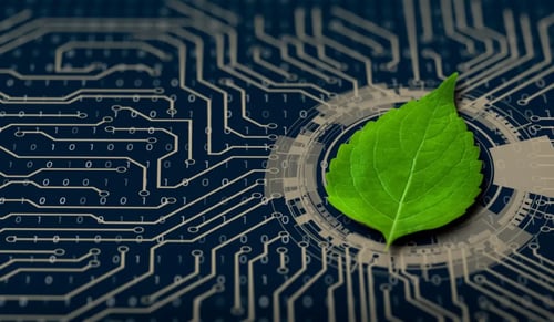 Green leaf on an electronic circuit, Bigle Legals blog post on AI and ESG