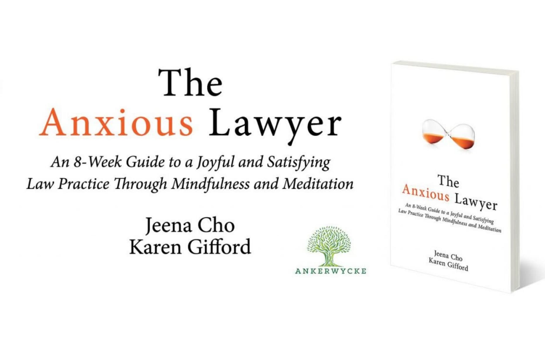 No.17-the-anxious-lawyer-min